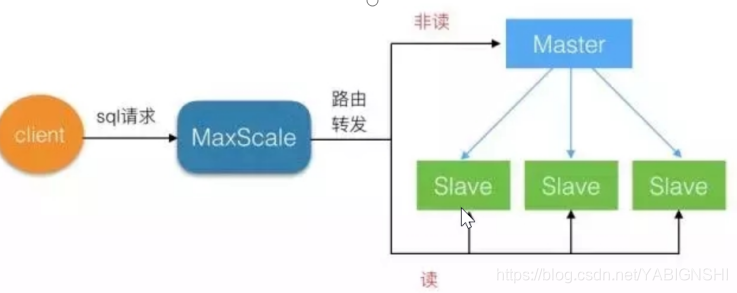 MaxScale 2
