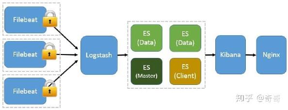 Elastic2