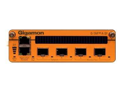 Gigamon1