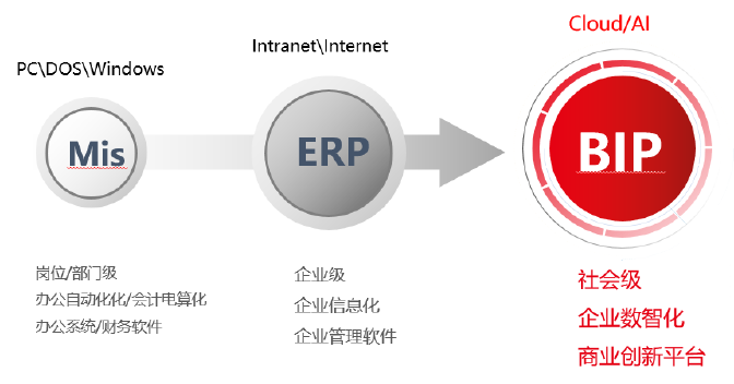 BIP预算管理3